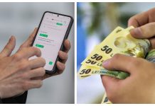 Contestarea unei amenzi PLF – ce trebuie să știți