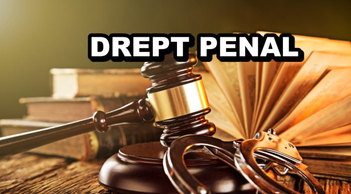 Cerere de apel model: cum să ataci o hotărâre judecătorească prin intermediul apelului
