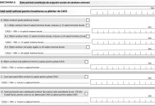 Ce este declarația unică: Ghid complet și recomandări pentru contribuabili