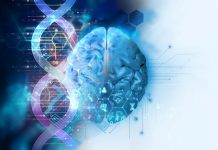 Prețul testului ADN pentru stabilirea paternității – ce trebuie să ști