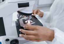 Prețul testului de paternitate – ce trebuie să știi