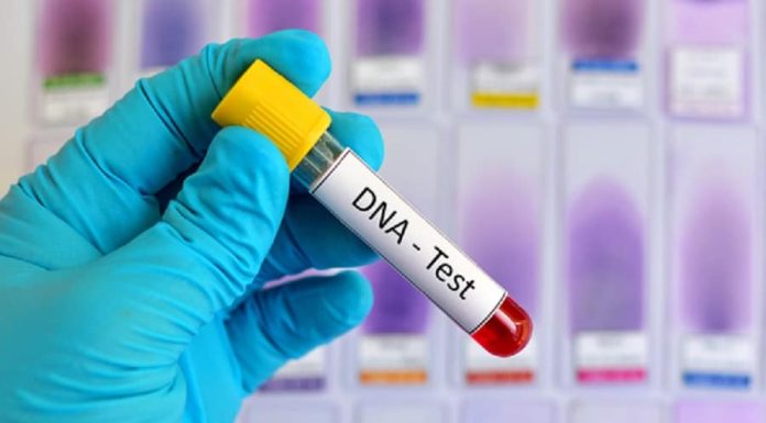 Cât costă un test ADN? Află prețurile în acest articol