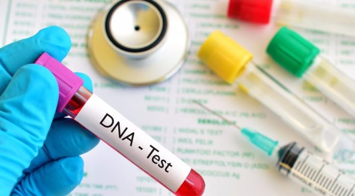 Cât Costă un Test ADN? Află cât vei plăti pentru un test de paternitate sau de filiație