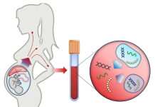 Test de paternitate preț: cât costă și cum se face un test de paternitate legal