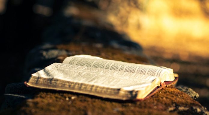 Ce este un testament: Explicații și proceduri de urmat