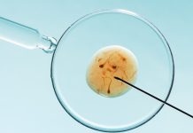 Ce drepturi am ca pacient în cadrul unui proces de fertilizare in vitro?