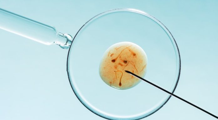 Ce drepturi am ca pacient în cadrul unui proces de fertilizare in vitro?